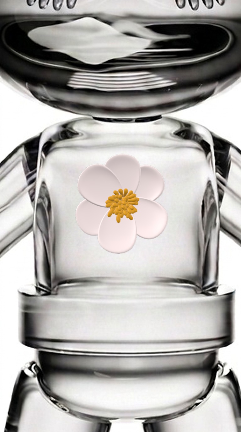 Flower · White · 花