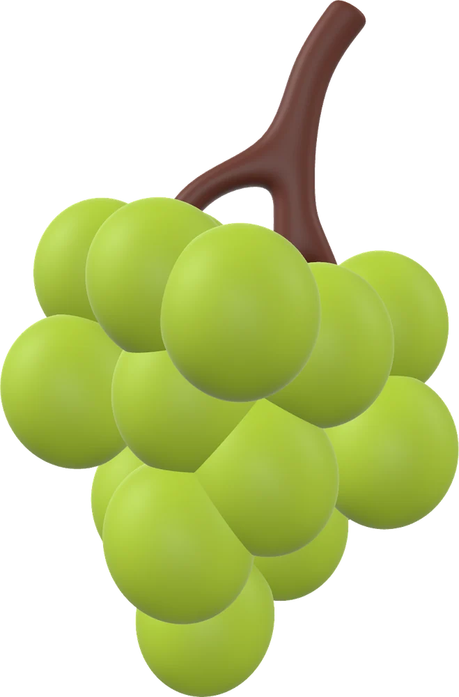 Fruit · Grapes モチーフ単体