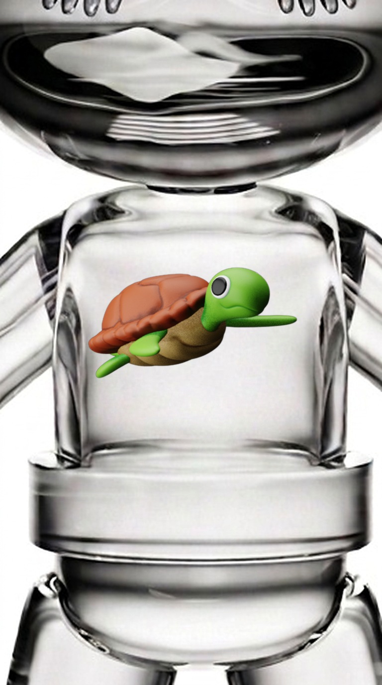 Sea Life · Sea Turtle · 海の命