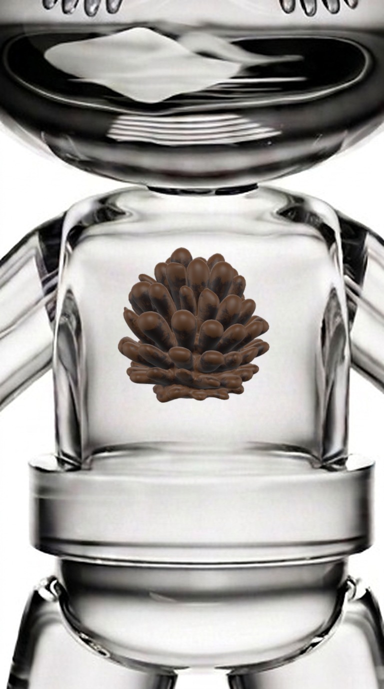 Forest's Gift · Pinecone · 森の落とし物