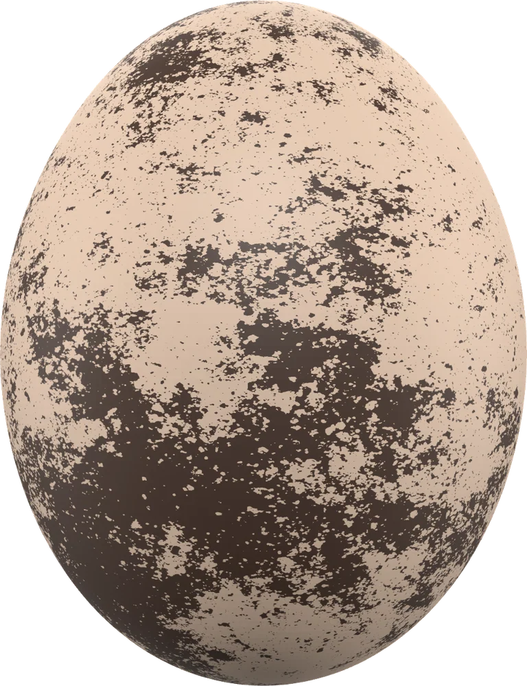 Egg · Quail モチーフ単体