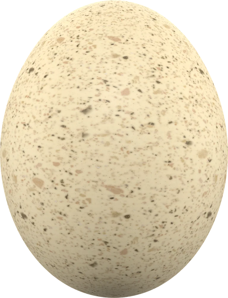 Egg · Turkey モチーフ単体